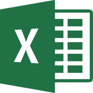 MICROSOFT EXCEL FOR BUSINESS